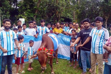 আর্জেন্টিনার ফাইনাল উপলক্ষে কোটালীপাড়ায় গরু জবাই