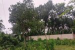 কোটচাঁদপুরের কুশনা ইউনিয়ন ভুমি সহকারী কর্মকর্তার বিরুদ্ধে তদন্তে অনিয়মের অভিযোগ