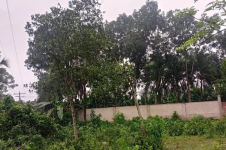 কোটচাঁদপুরের কুশনা ইউনিয়ন ভুমি সহকারী কর্মকর্তার বিরুদ্ধে তদন্তে অনিয়মের অভিযোগ