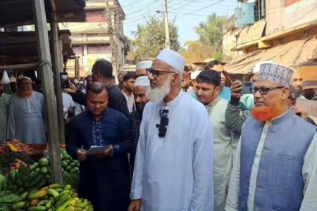 কালীগঞ্জে নবাগত এমপি আবু তালিবের বাজার তদারকি