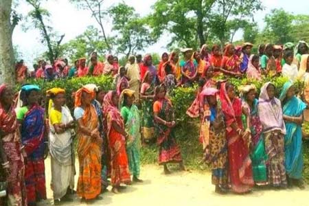 ৩ সপ্তাহ থেকে মিলছে না মজুরি, বিপাকে বাগানের শ্রমিকেরা