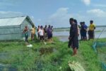 ১৭ বছর পর পৈতৃক জমি ফিরে পেলেন প্রবাসী শরিফুল