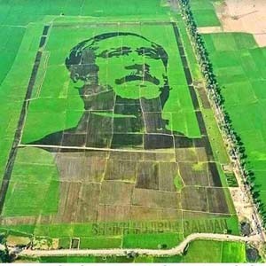 গিনেজ ওয়ার্ল্ড রেকর্ডসে ‘শস্যচিত্রে বঙ্গবন্ধু’