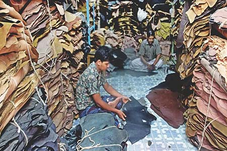 জিম্মি চামড়া রপ্তানি