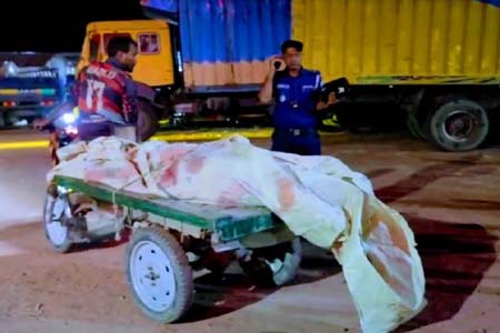 সড়ক দুর্ঘটনায় বাবা-ছেলের মৃত্যু