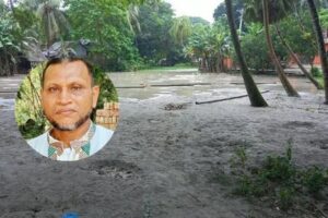 ব্যক্তিগত টাকা দিয়ে সরকারি পুকুর ভরাট করলেন ইউপি চেয়ারম্যান