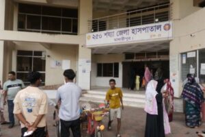 মাদারীপুরে ইটভাঙ্গা মেশিনের নিচে পড়ে শিশুর মৃত্যু