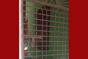 মধুখালীতে সেনাবাহিনীর বাড়িতে দুর্র্ধষ চুরি