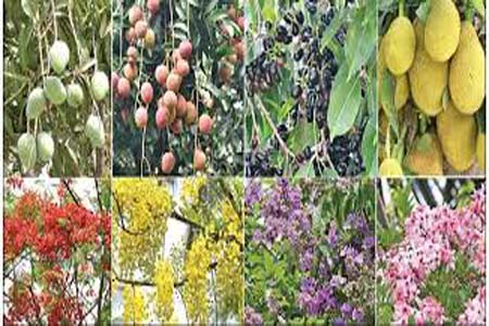 মধুমাস যাত্রা শুরু করল