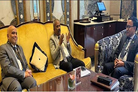 মালদ্বীপের শ্রমবাজারে পেশাদার