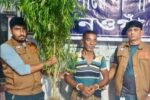 নওগাঁর মান্দায় গাঁজা গাছসহ গ্রেফতার- ১