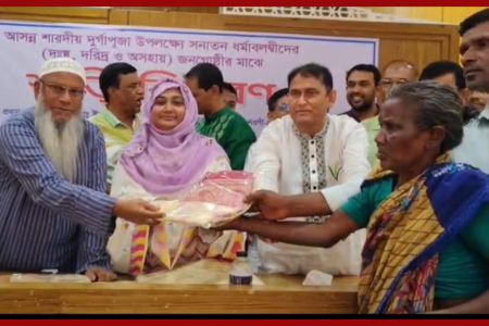 দুর্গাপূজা উপলক্ষে অসহায় নারীদের মাঝে শাড়ি বিতরণ
