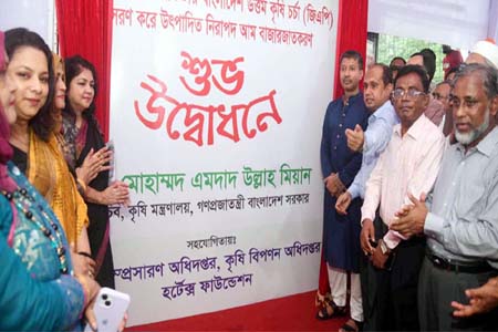 আম উৎপাদনে উত্তম কৃষি চর্চা