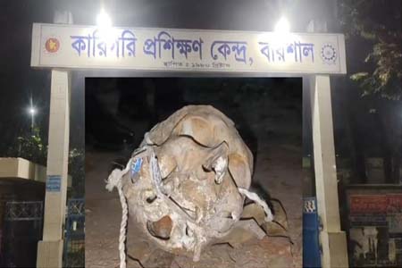 বরিশালে পুরনো কঙ্কাল উদ্ধার,  আতঙ্ক