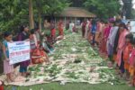 কুড়িয়ে পাওয়া শাকের মেলায় অচাষকৃত উদ্ভিদ বৈচিত্র্য সংরক্ষণের উদ্যোগ