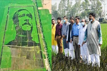 বঙ্গবন্ধুর আদর্শ ও চেতনায় অনুপ্রাণিত করবে ‘শস্যচিত্রে বঙ্গবন্ধু’ -কৃষিমন্ত্রী