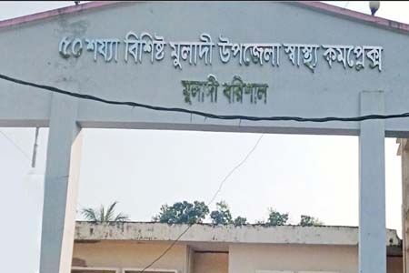শোক সইতে না পেরে মায়ের মৃত্যু