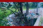 নবীগঞ্জ স্বাস্থ্য কমপ্লেক্সের সামনে ময়লার স্তূপ, দুর্গন্ধে ভোগান্তি