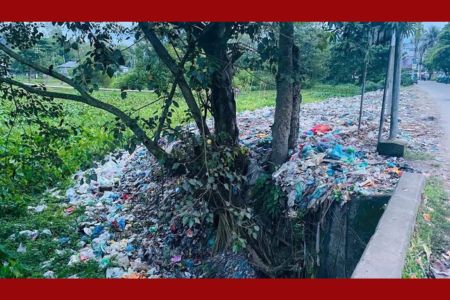 নবীগঞ্জ স্বাস্থ্য কমপ্লেক্সের সামনে ময়লার স্তূপ, দুর্গন্ধে ভোগান্তি