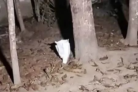 নড়াইলে বোমাসদৃশ বস্তু উদ্ধার