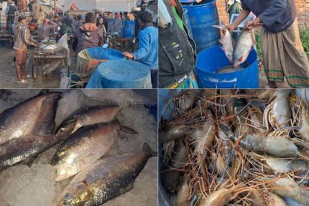 নড়াইলে মাছের সরবরাহ বেশি থাকলেও দাম ঊর্ধ্বমুখী