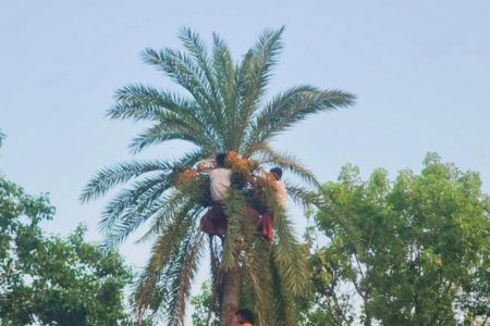 নড়াইলে সনাতন সম্প্রদায়ের ভোলানাথে আশীর্বাদ কামনায় ঐতিহ্যবাহী খেজুর সন্ন্যাসী অনুষ্ঠিত