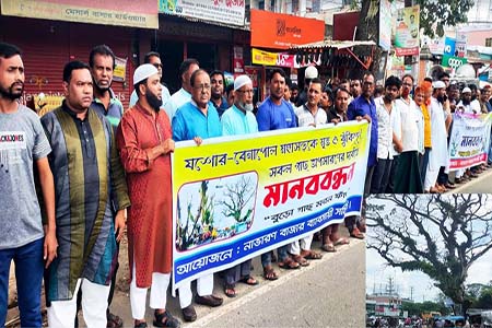 যশোর-বেনাপোল মহাসড়কের ঝুঁকিপূর্ণ গাছ অপসারণের দাবিতে মানববন্ধন