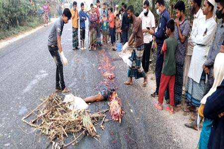 noakhali bus accident
