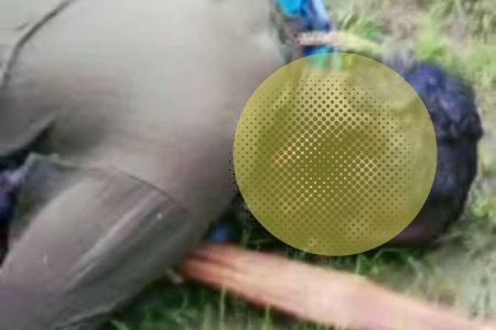 নবীগঞ্জে হাওরে ধান কাটতে গিয়ে বজ্রপাতে কৃষকের করোন মৃত্যু