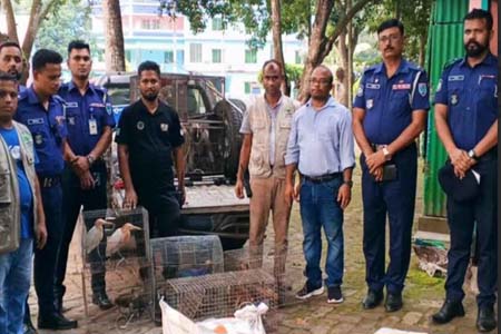 নড়াইলে নিরিবিলি পিকনিক স্পটে অভিযান