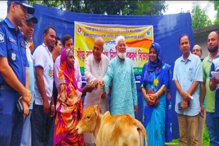 ধামইরহাটে ক্ষুদ্র নৃ-গোষ্ঠির মাঝে ষাঁড় বাছুর বিতরণ