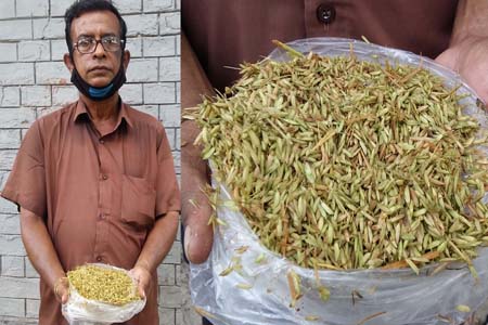 ধান লুট করলো আপনভাই