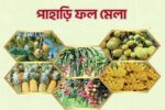 রাজধানীতে পাহাড়ি ফল মেলা ২৭ থেকে ২৯ জুন