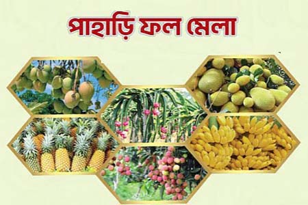 পাহাড়ি ফল মেলা