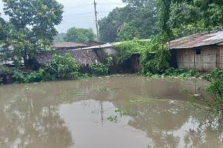 বিরামহীন একটানা বৃষ্টিতে পাইগাছার জনজীবন বিপর্যস্ত