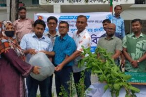 পাইকগাছায় গৃহস্থালি কাজে ব্যবহৃত পুকুরে মাছের পোনা ও গাছের চারা বিতরণ 