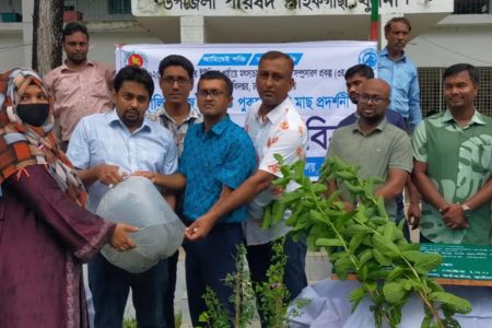 পাইকগাছায় গৃহস্থালি কাজে ব্যবহৃত পুকুরে মাছের পোনা ও গাছের চারা বিতরণ 
