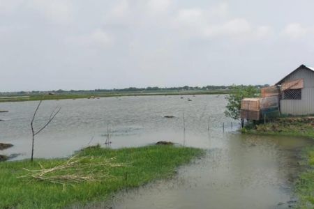পাইকগাছায় প্রতিপক্ষের বিরুদ্ধে চিংড়ী ঘের জবরদখল চেষ্টার অভিযোগ 
