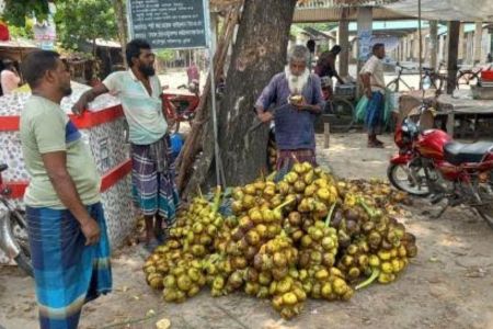 পাইকগাছায় গরমে তাল শাঁসের চাহিদা বেড়েছে