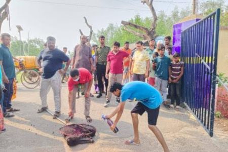 পাইকগাছায় কুকুরের জলাতঙ্ক প্রতিরোধ টিকাদান কার্যক্রম পরিচালিত
