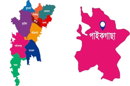 পাইকগাছায় অপরাধমূলক কর্মকান্ড বৃদ্ধি পাওয়ায় উদ্বেগ ও উৎকণ্ঠায় এলাকাবাসী