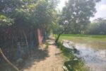 জনবসতি বাড়ছে, বদলায়নি রাস্তা; ১৫ বছর ধরে উন্নয়নবঞ্চিত পাইকগাছার নতুন পল্লী