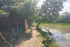 জনবসতি বাড়ছে, বদলায়নি রাস্তা; ১৫ বছর ধরে উন্নয়নবঞ্চিত পাইকগাছার নতুন পল্লী