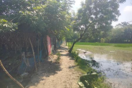 জনবসতি বাড়ছে, বদলায়নি রাস্তা; ১৫ বছর ধরে উন্নয়নবঞ্চিত পাইকগাছার নতুন পল্লী