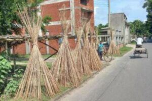 পাইকগাছায় পাটের চেয়ে পাটকাঠির চাহিদা বেশি