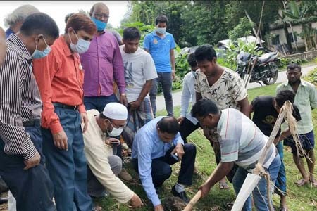 তাল বীজ রোপন শুরু