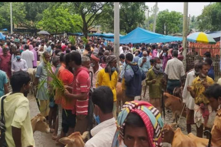 স্বাস্থ্যবিধি না মানায় পঞ্চগড়ের সকল পশুর হাট বন্ধ