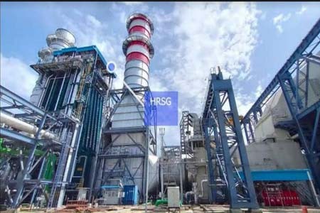 https://thenewse.com/wp-content/uploads/paoyar-plant.jpg