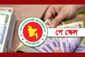 পে-স্কেল কার্যকরে ৭টি আলাদা এসআরও, চাকরিজীবীদের ক্যাটাগরি নির্ধারণ
