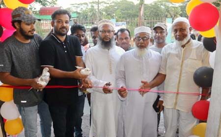 পায়রা পরিবহনের কাউন্টার উদ্বোধন 